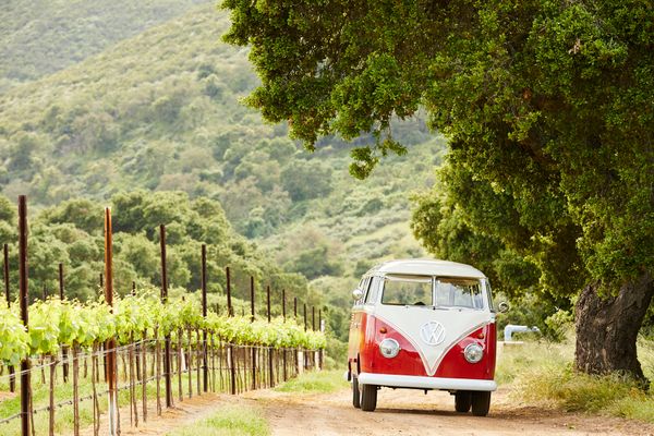 Hit the road in California’s Monterey County on these 3 epic road trips