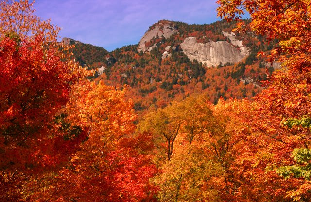 Come view the beautiful fall colours of the Southern United States